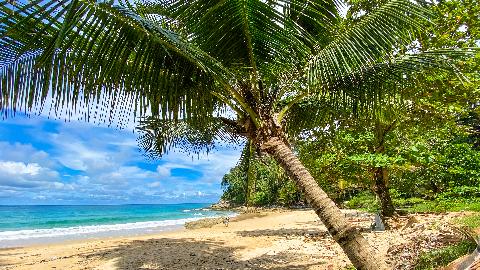 Пляж Сурин на Пхукете