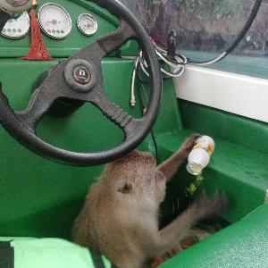 Фото отзыва Галина №1