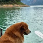 Фото отзыва Екатерина №3