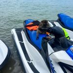 Фото отзыва Екатерина №1