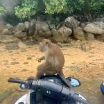 Фото отзыва Екатерина №2