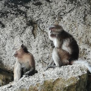 Фото отзыва Надежда  №1