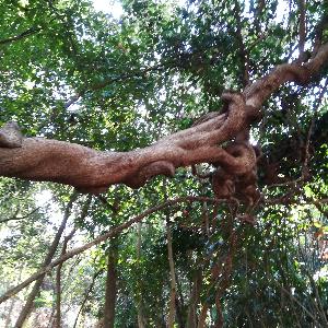 Фото отзыва Ирина №3