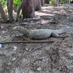 Фото отзыва Кристина №3