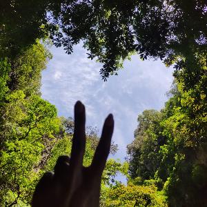 Фото отзыва Светлана №3