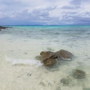 Фото отзыва Светлана №6