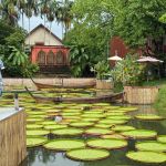 Фото отзыва Ирина №3