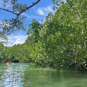 Фото отзыва Елена №6
