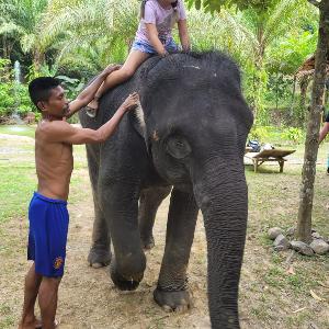 Фото отзыва Галина  Юрий №2