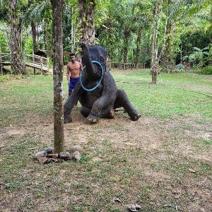 Фото отзыва Галина  Юрий №4