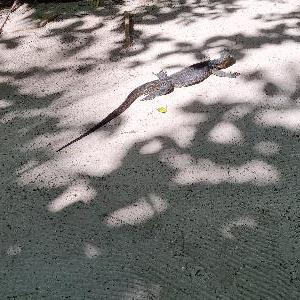 Фото отзыва Анна №3