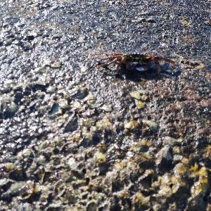 Фото отзыва Анна №4