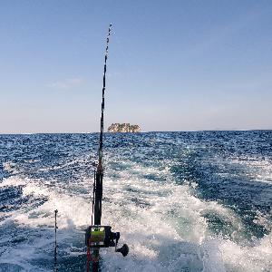 Фото отзыва Мария №2