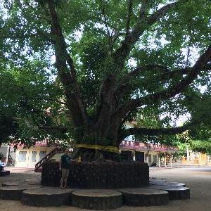 Фото отзыва Наталья №3