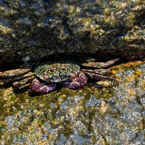 Фото отзыва Валерия №1