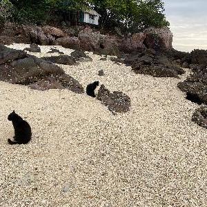 Фото отзыва Елена №3