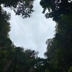 Фото отзыва Елена №5