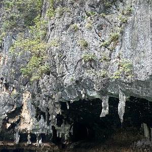 Фото отзыва Елена №14