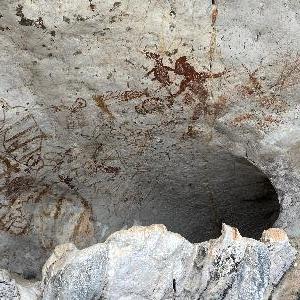 Фото отзыва Елена №18