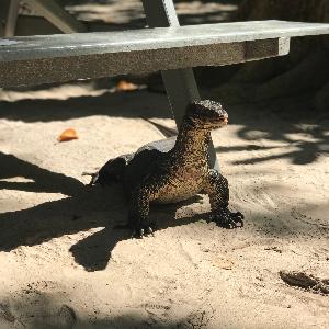 Фото отзыва Viktor №3