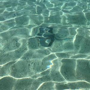 Фото отзыва Viktor №4