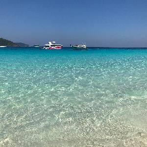 Фото отзыва Viktor №7