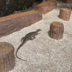 Фото отзыва Наталья №5