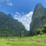 Фото отзыва Елена №1