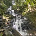 Фото отзыва Елена №5