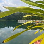 Фото отзыва Елена №8