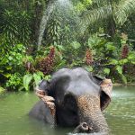 Фото отзыва Александра №1