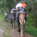 Фото отзыва Андрей  №1