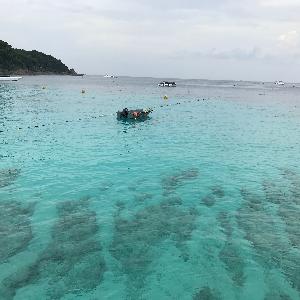 Фото отзыва Вадим  №1