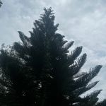 Фото отзыва Дарья  №2