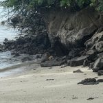 Фото отзыва Дарья  №3