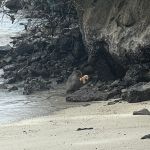 Фото отзыва Дарья  №4