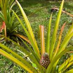 Фото отзыва Дарья  №8