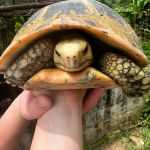 Фото отзыва Дарья  №12