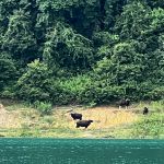 Фото отзыва Дарья  №14