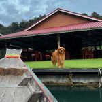 Фото отзыва Дарья  №15