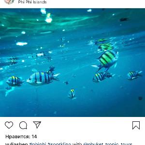 Фото отзыва Отзывы туристов  №1