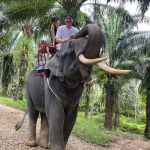 Фото отзыва Зульфат №1