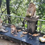 Фото отзыва Виктор №1