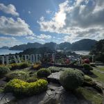 Фото отзыва Семенова Анна №1