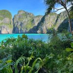 Фото отзыва Семенова Анна №5