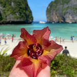 Фото отзыва Наталья №6