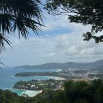 Фото отзыва Лилия №1