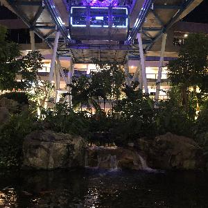 Фото отзыва Мария №2