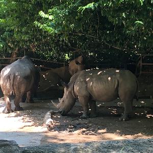 Фото отзыва Мария №3