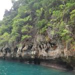 Фото отзыва Дамир №3